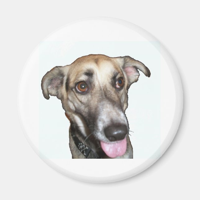 Dog 2, Magnet (Front)