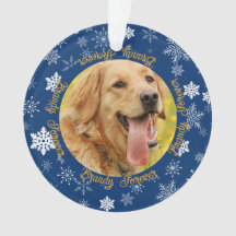 Dog 2 Photo Blue Snowflake Custom Christmas