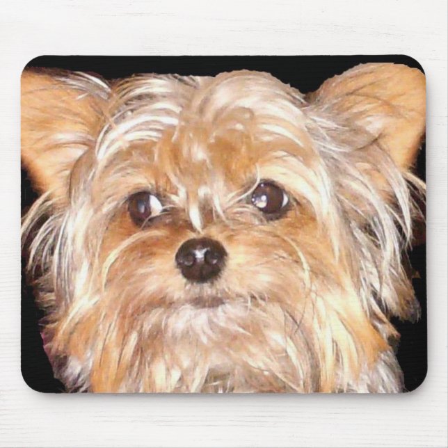 Dog 4, Mouse Pad (Front)