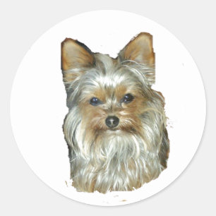Dog 4B,Yorkshire Terrier,Stickers Classic Round Sticker