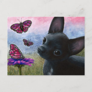 Dog 91 Chihuahua Postcard