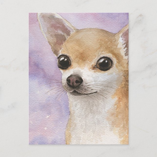 Dog 95 Chihuahua Postcard (Front)