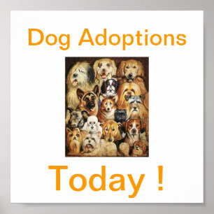 Dog Adoptions Today Signs