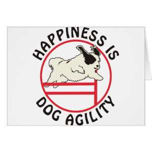 Dog Agility Happiness