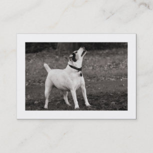 Dog Agog (Bordered) Business Card