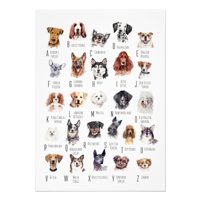 Dog Alphabet Poster (Front)