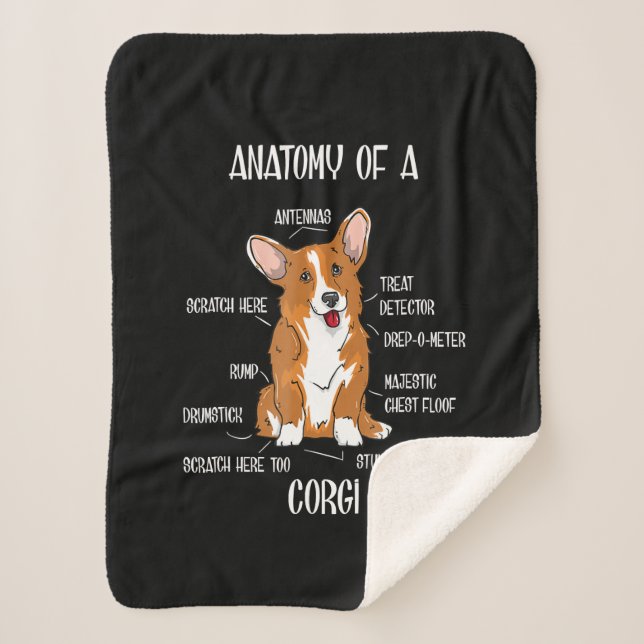 Dog Anatomy , Cute Welsh Corgi Puppy Biology Gift. Sherpa Blanket (Front)