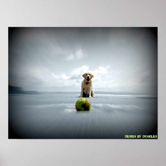 Dog and ball poster (Front)