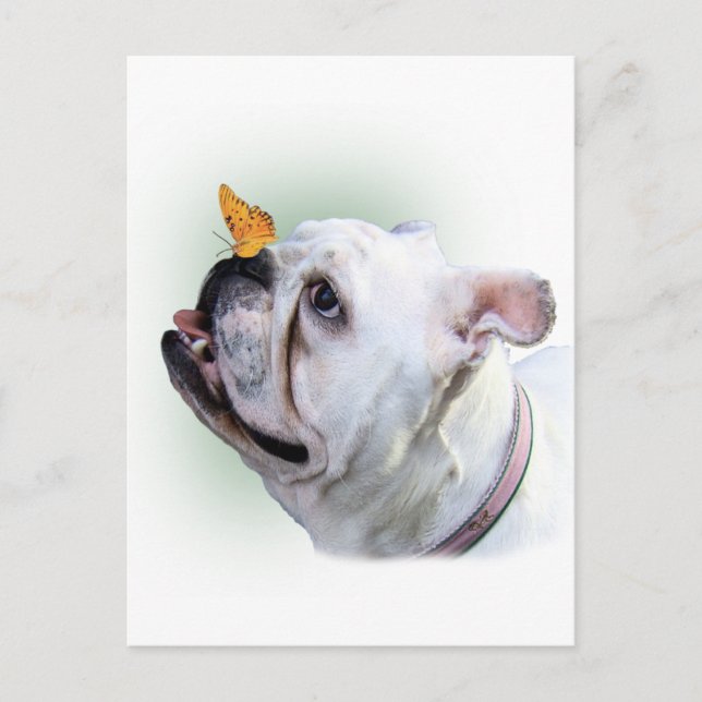 Dog and Butterfly Postcard (Front)