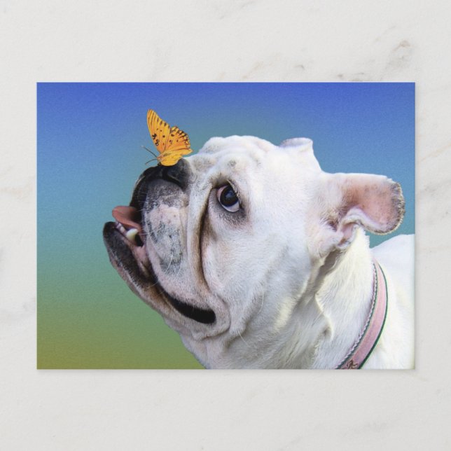 Dog and butterfly postcard (Front)