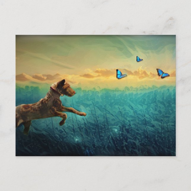 Dog And Butterfly Postcard (Front)