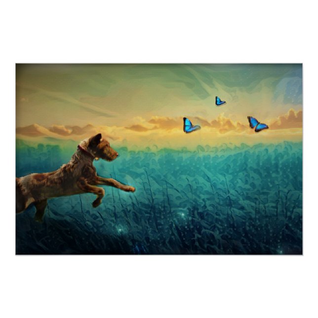Dog And Butterfly Poster (Front)