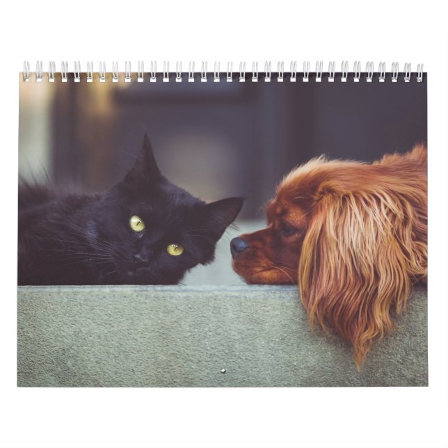 Dog and Cat Calendar (Cover)