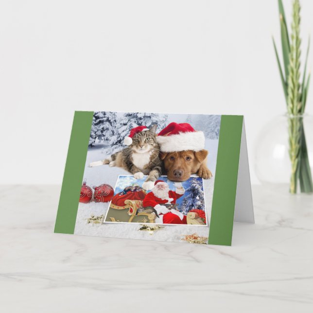 Dog and Cat Christmas Card with Santa and Ferrets (Front)