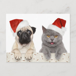 Dog And Cat In Red Christmas Hat Holiday Postcard