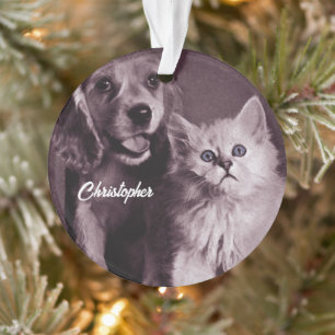 Dog and Cat, Looking Up Personalised Ornament