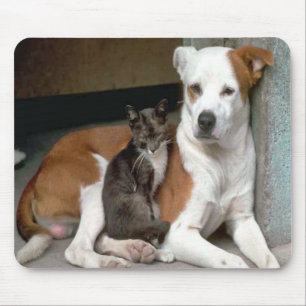 Dog and Cat Mousepad