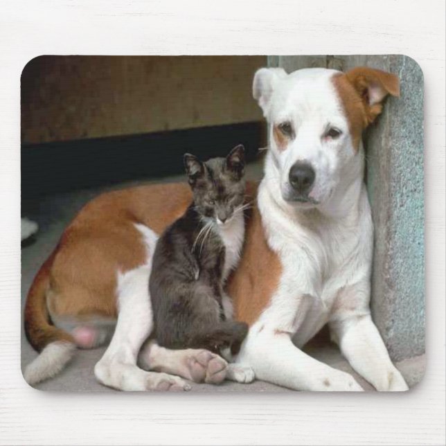 Dog and Cat Mousepad (Front)