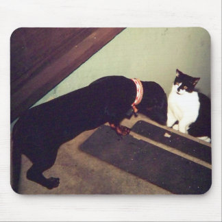 dog and cat mousepad