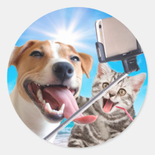 Dog and cat photographed selfie on the phone classic round sticker