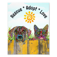 Dog and Cat Rescue Adopt Love