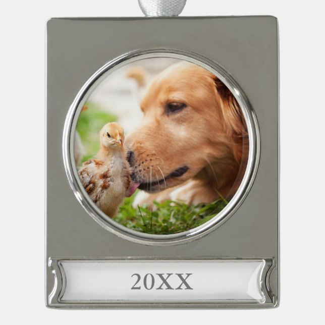 Dog and Chick Silver Plated Banner Ornament (Front)