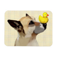 Dog and Duck