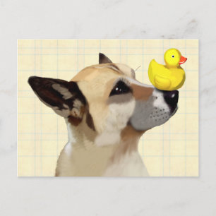 Dog and Duck Postcard