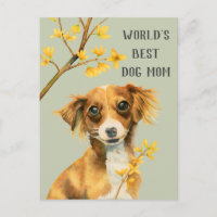 Dog and Flowers | Dog Mum | Mother's Day