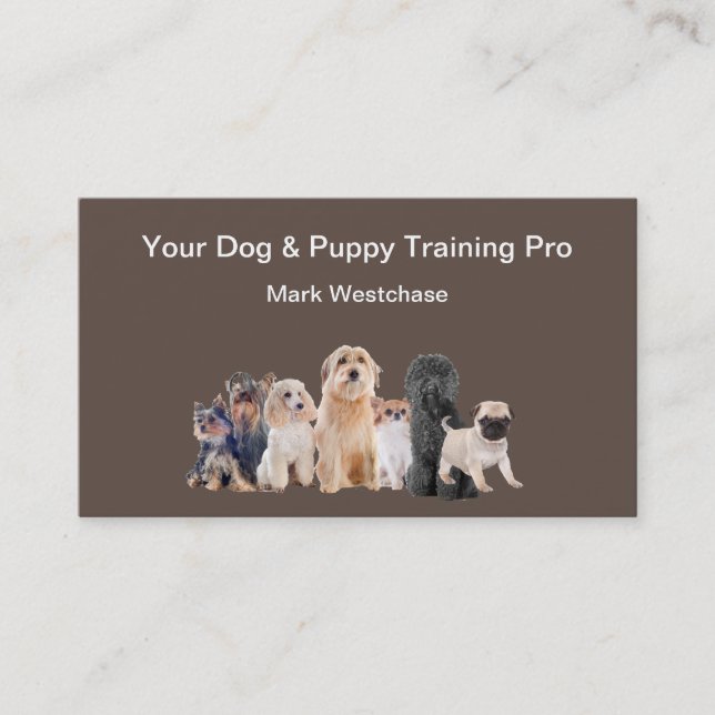 Dog And Puppy Training Appointment Business Cards (Front)