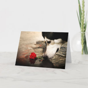 Dog and Red Rose Card