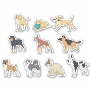 dog animal