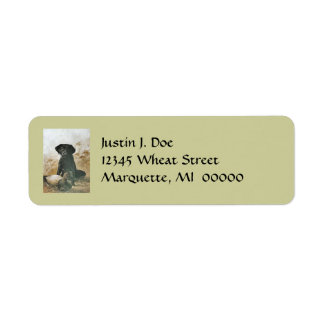 Dog Anxious Labrador & Duck Decoy Address Labels