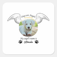 Dog are angels sticker