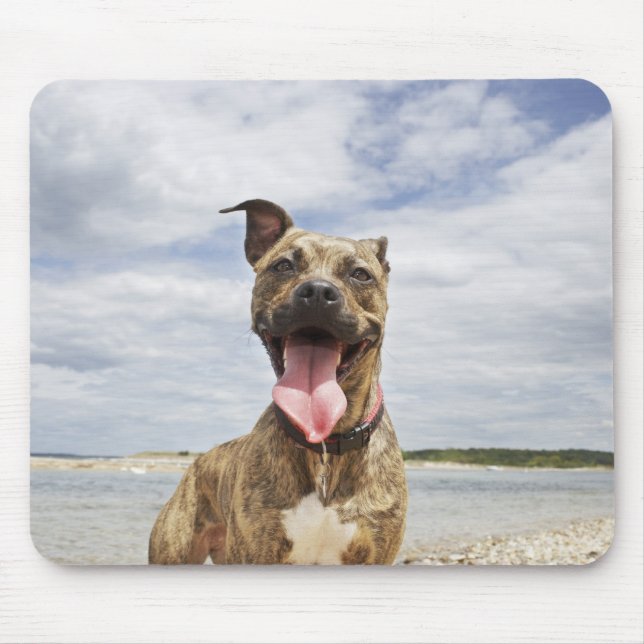 dog at beach mouse pad (Front)