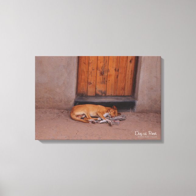 Dog at Rest Canvas Print (Front)