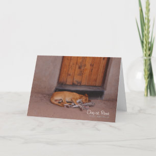 Dog at Rest Card