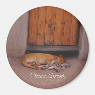 Dog at Rest Magnet