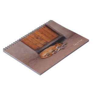 Dog at Rest Notebook