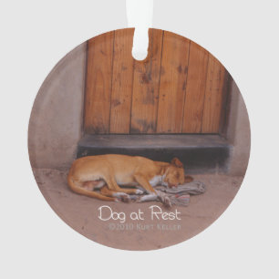 Dog at Rest Ornament