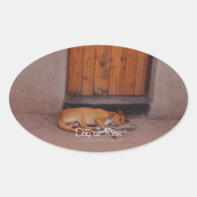 Dog at Rest Oval Sticker (Front)