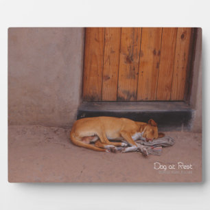 Dog at Rest Plaque