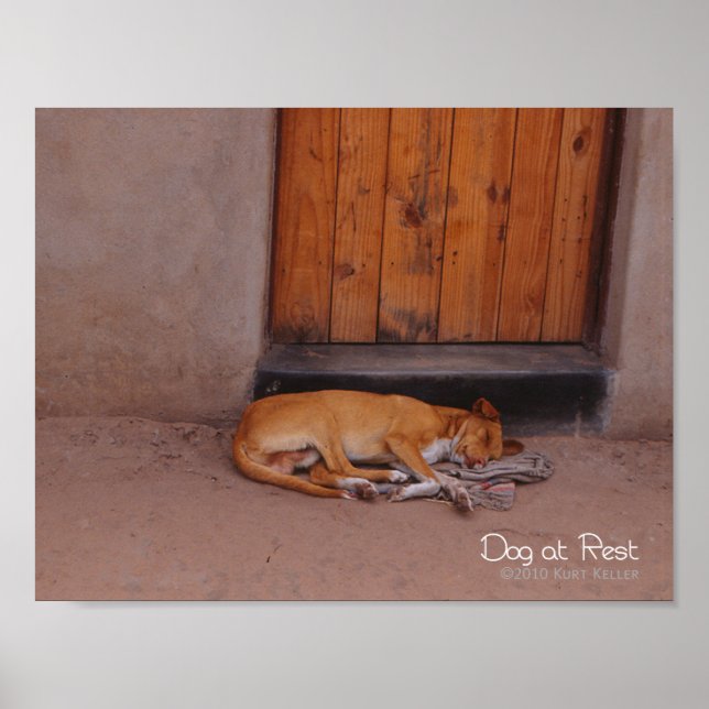 Dog at Rest Poster (Front)