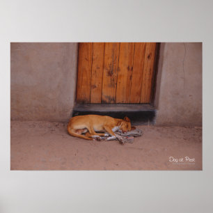 Dog at Rest Print and Poster
