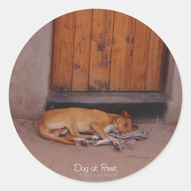 Dog at Rest Round Stickers (Front)