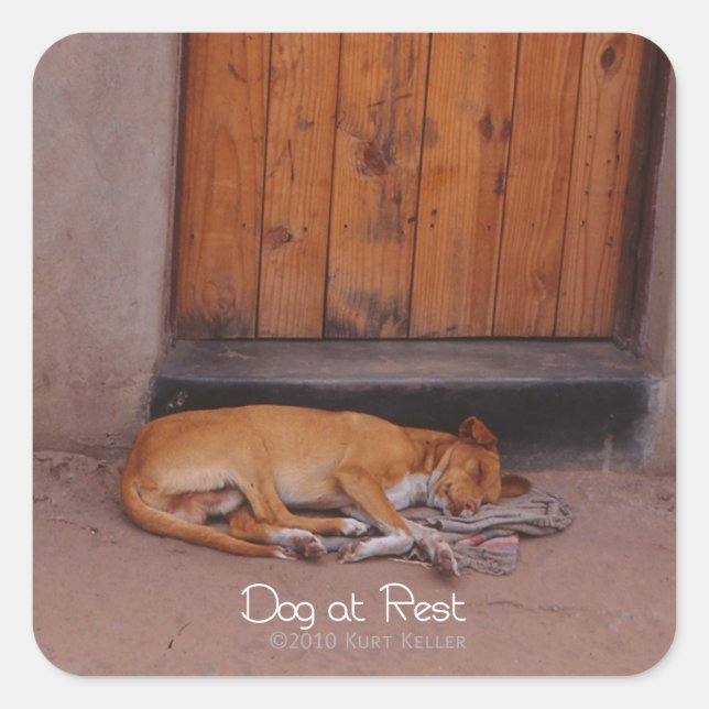 Dog at Rest Square Sticker (Front)