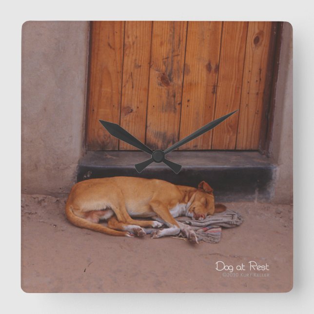 Dog at Rest Square Wall Clock (Front)
