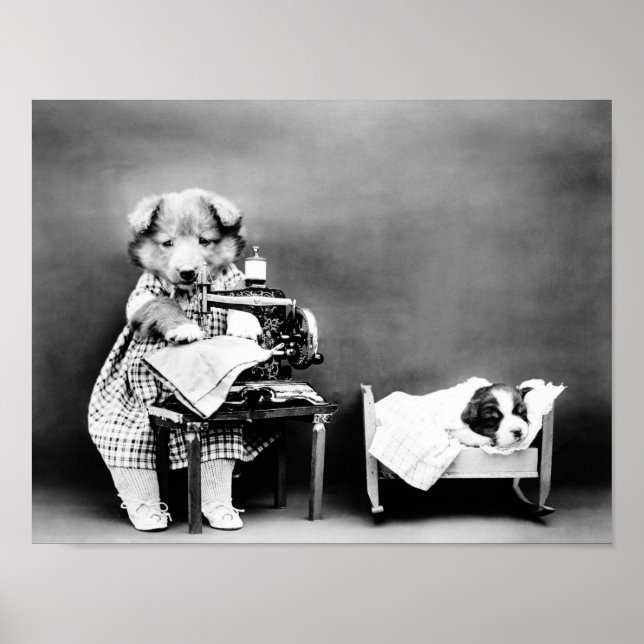 Dog At Sewing Machine - Making Baby's Clothes Poster (Front)