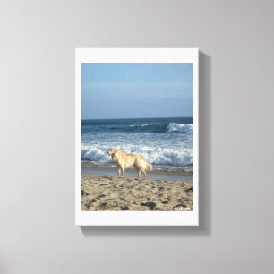 Dog At The Beach Canvas Print