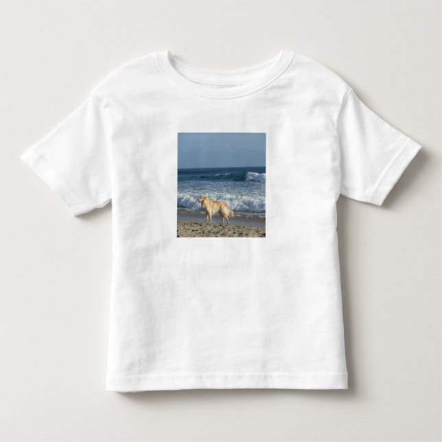 Dog At The Beach Toddler T-Shirt (Front)
